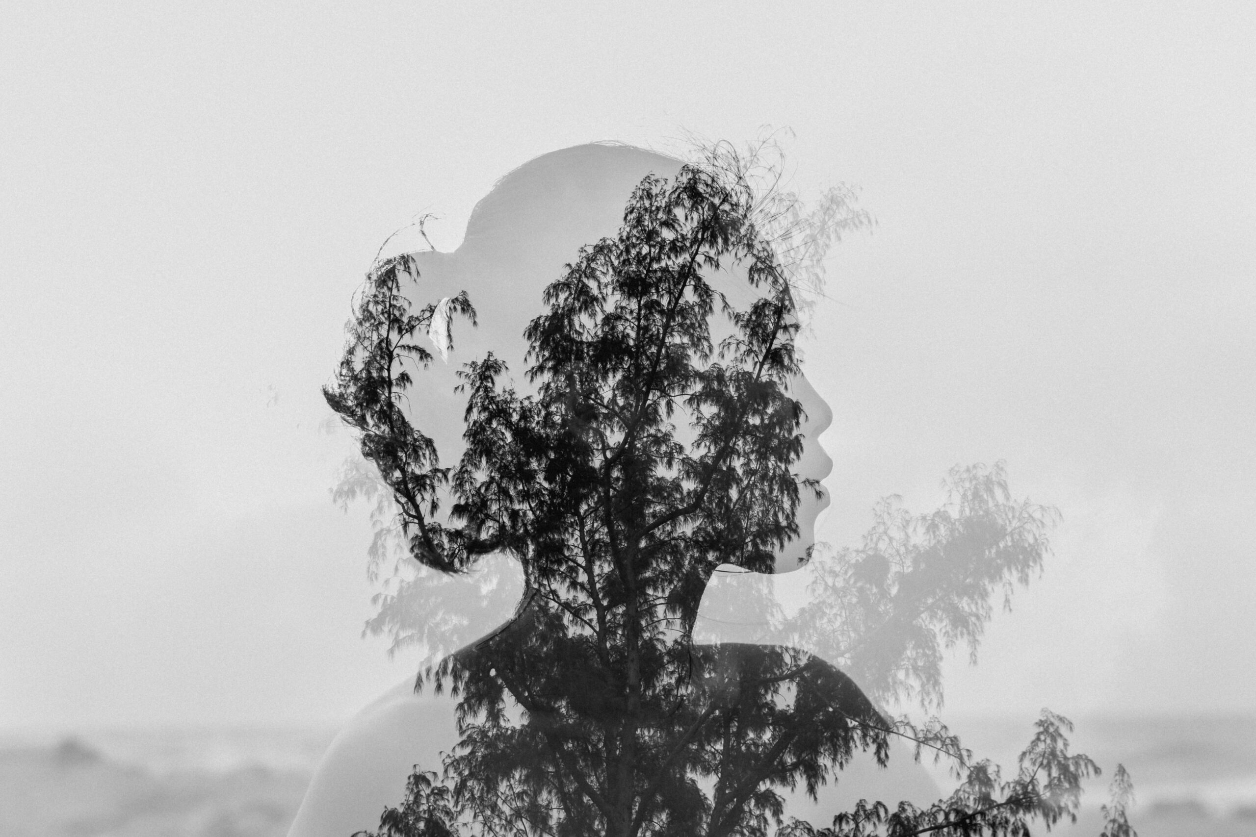 image poétique en noir et blanc d'une femme de profil dont le visages est remplace par des arbres
