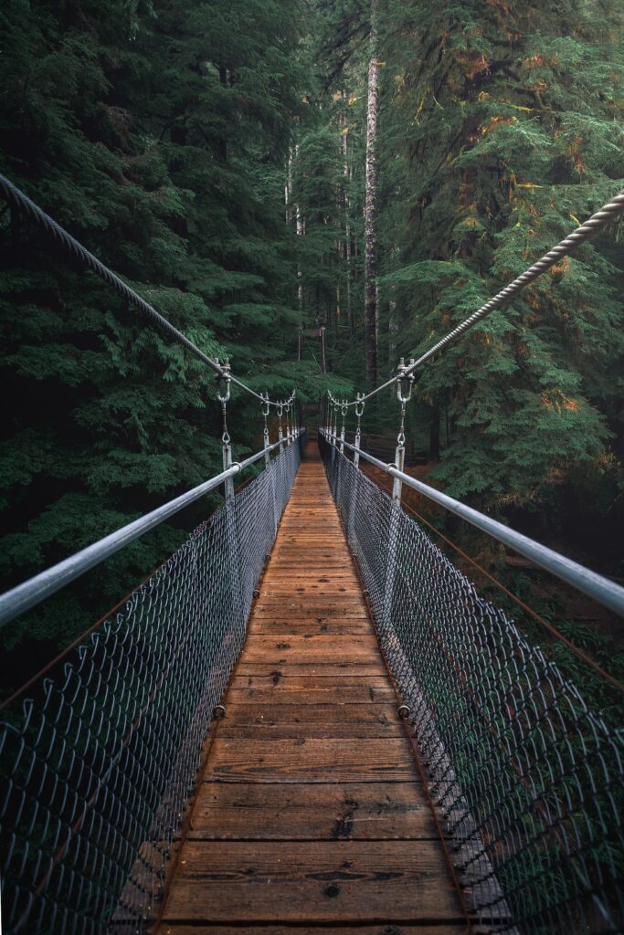 perspective pont en bois suspendu au dessus de la jungle